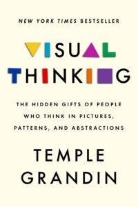 Visual Thinking book cover