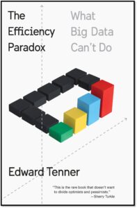 The Efficiency Paradox book cover
