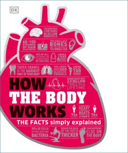 HOW THE BODY WORKS 