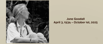 Remembering Jane Goodall (1934–2025)
