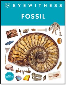 Eyewitness Fossil 9780744092073